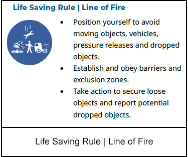 Life Saving Rule | Bypassing Safety Controls