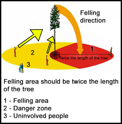 A diagram showing the employee positioned in the danger zone of the felling tree.  