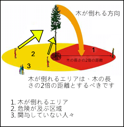 木が倒れることで危険が及ぶ区域に立つ従業員を示す図