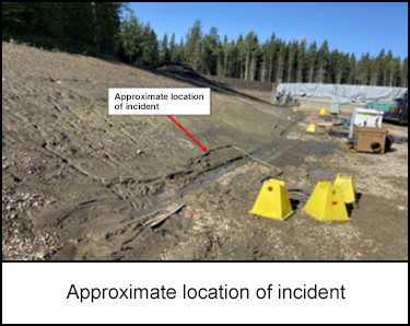 Approximate location of incident