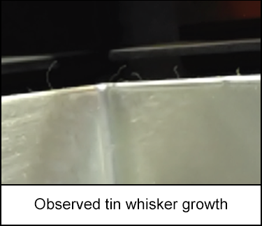 Observed tin whisker growth from bus bar