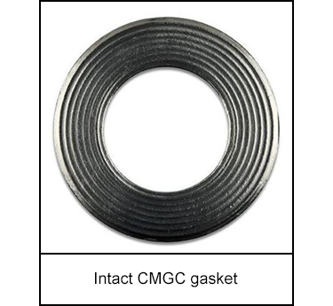 1203-s3.png Intact CMGC gasket