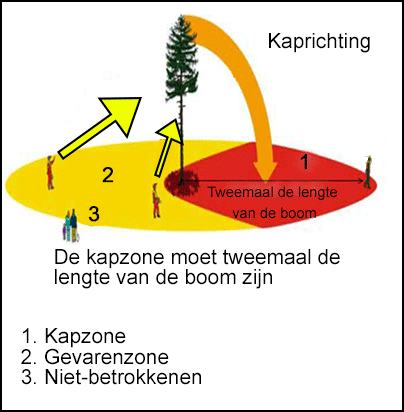 Een schema met de positie van de medewerker in de gevarenzone van de vallende boom