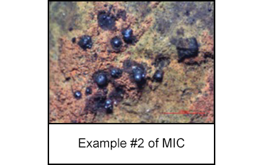 1125-s2.png Example #2 of MIC