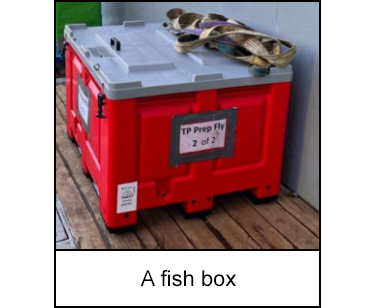 A fish box