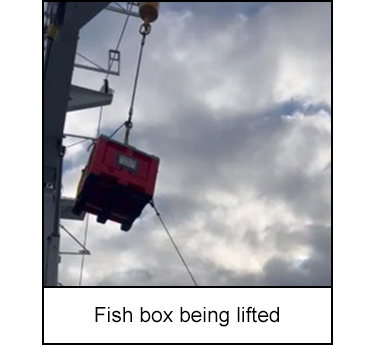 Fish box being lifted