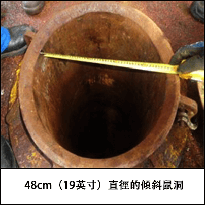48cm（19英寸）直徑的傾斜鼠洞