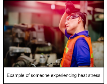 Example of someone experiencing heat stress