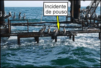 Incidente de pouso