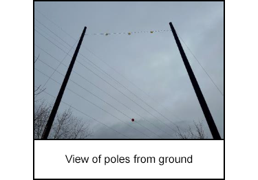 View of poles from ground
