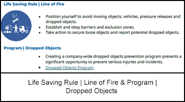 Life Saving Rule | Line of Fire & Program | Dropped Objects 