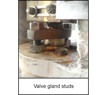 Valve gland studs