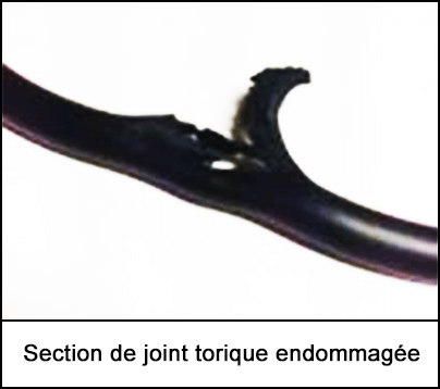 Une section de joint torique endommagée